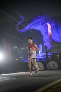 BIB: 
                            <button type="button" onclick="openModal(26531114)" class="btn btn-primary btn-sm float-right btn-popup" data-toggle="modal" data-target=".modal-high-quality">
                        <i class="fas fa-shopping-cart"></i> Add to Cart
                    </button>
                                            <button type="button" onclick="isThisMe(26531114, true)" class="btn btn-success btn-sm float-right btn-popup btn-isme hidden" data-toggle="tooltip" data-placement="bottom" title="นี่คือรูปของคุณใช่ไหม คลิกที่นี่เพื่อเอาเข้าอัลบั้ม">
                        <i class="fas fa-plus"></i> Add to album
                    </button>
                    <button type="button" onclick="isThisMe(26531114, false)" class="btn btn-warning btn-sm float-right btn-popup btn-isnotme hidden">
                        <i class="fas fa-ban"></i> Remove from album
                    </button>